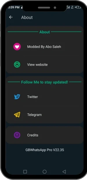 GB WhatsApp Screenshot 3